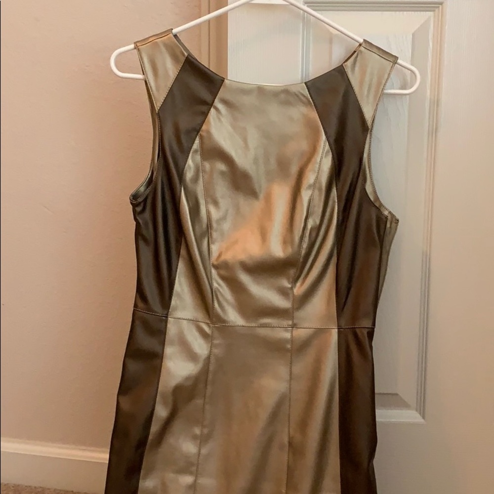 Gold & Brown Dress